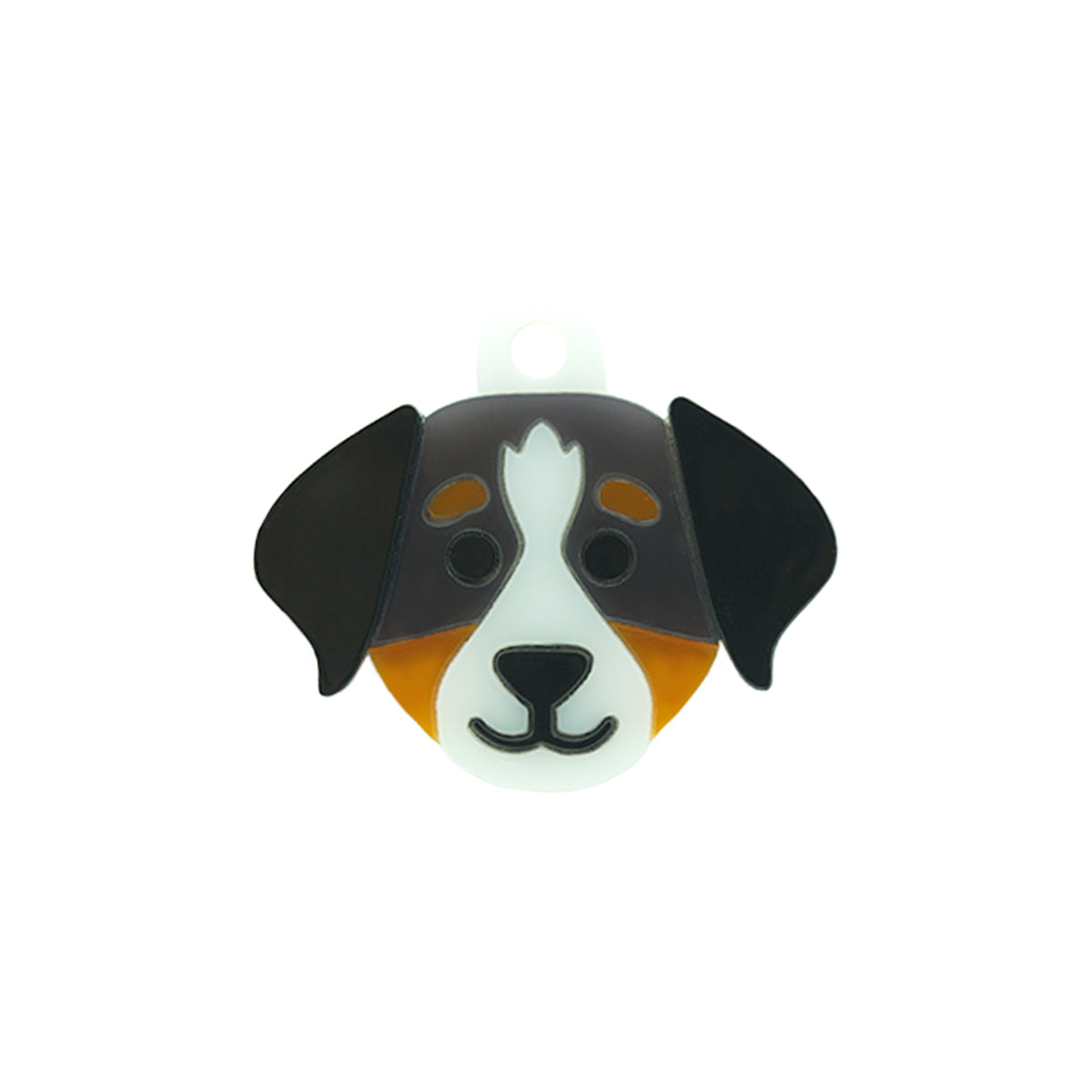 placa_identificación_perro_boyero_de_berna