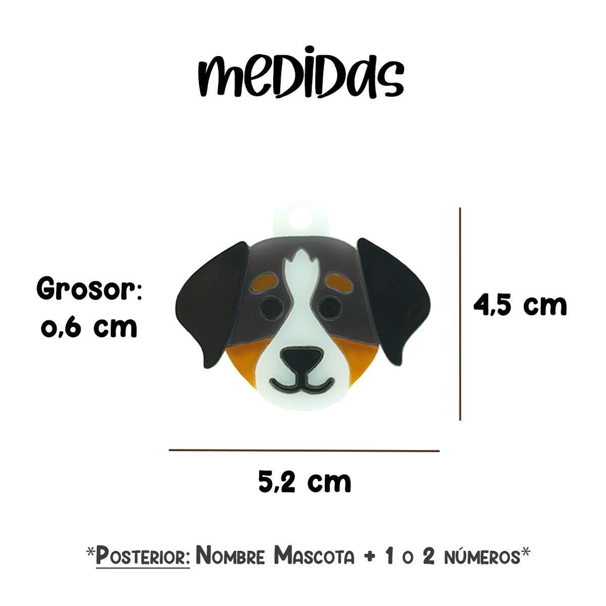 placa_identificación_perro_boyero_de_berna