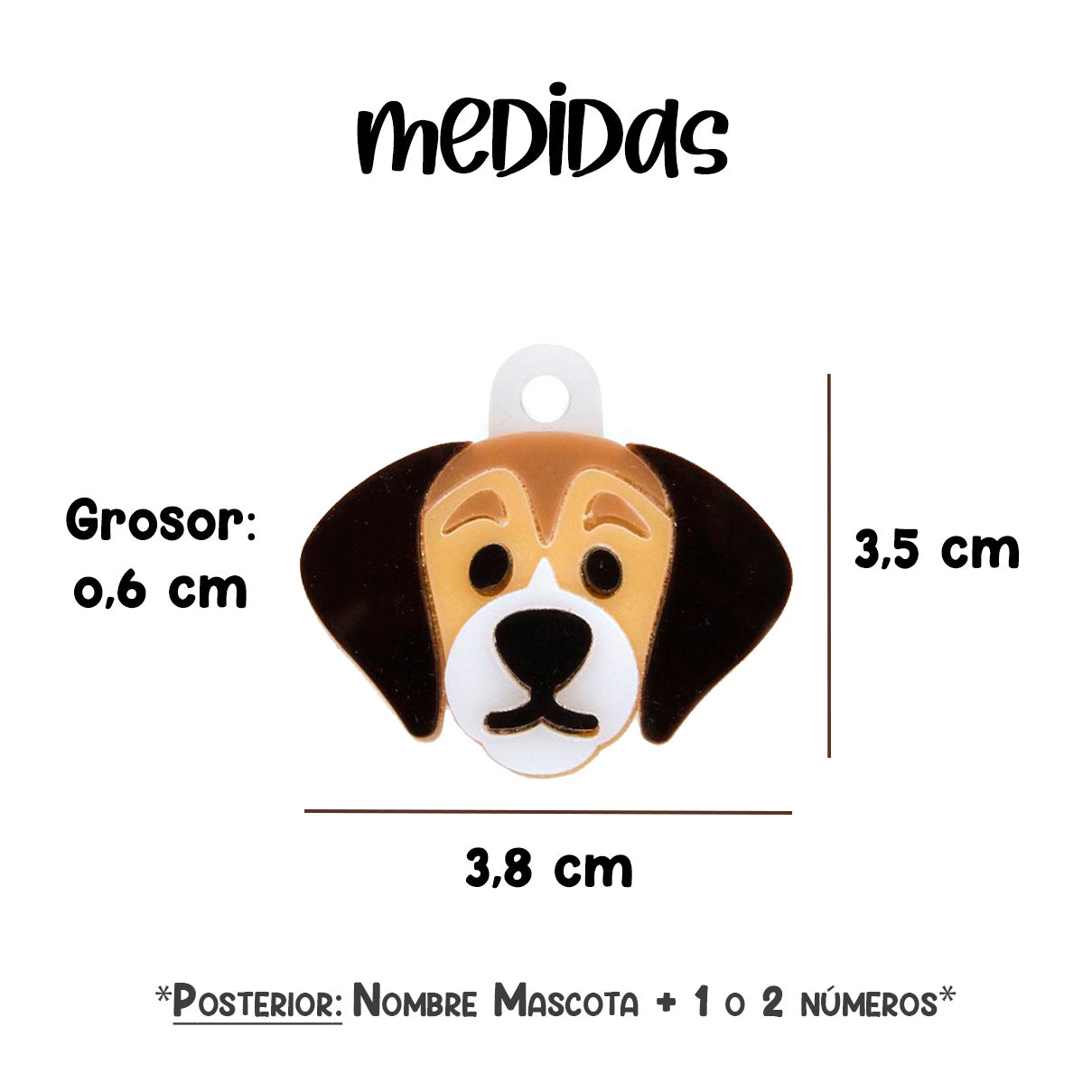 perro_placa_identificacion_beagle