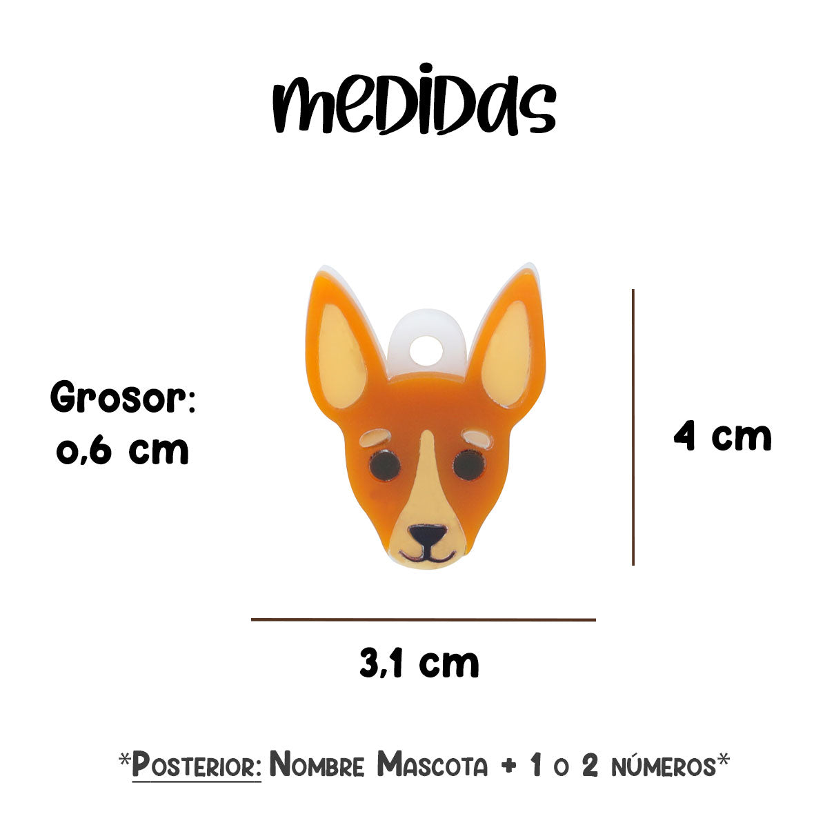 identificacion_perro_placa_chihuahua