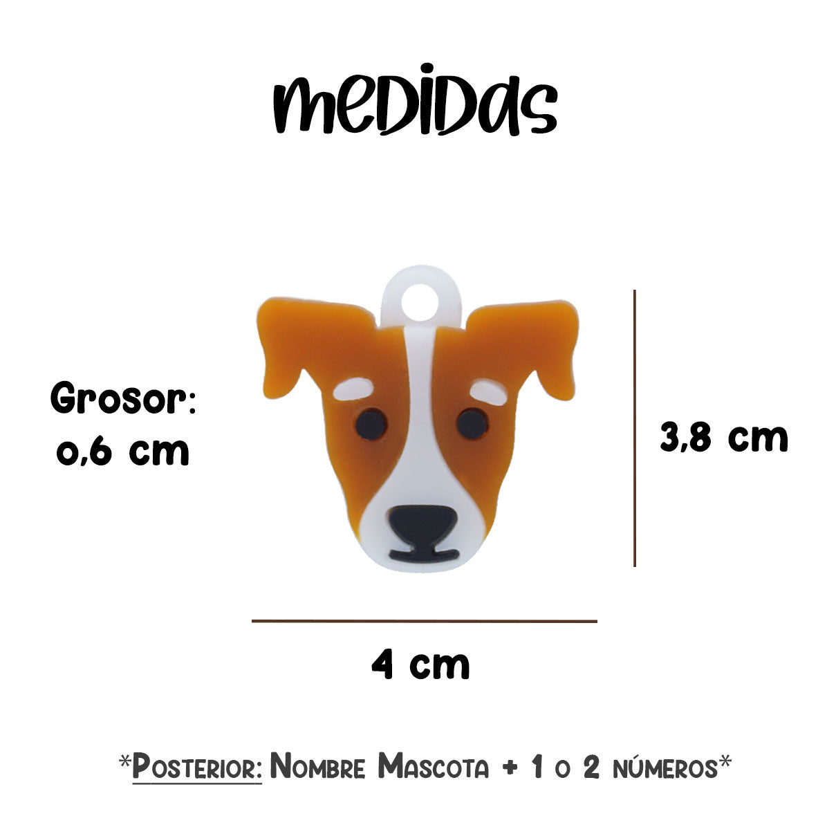 identificacion_perro_placa_fox_terrier