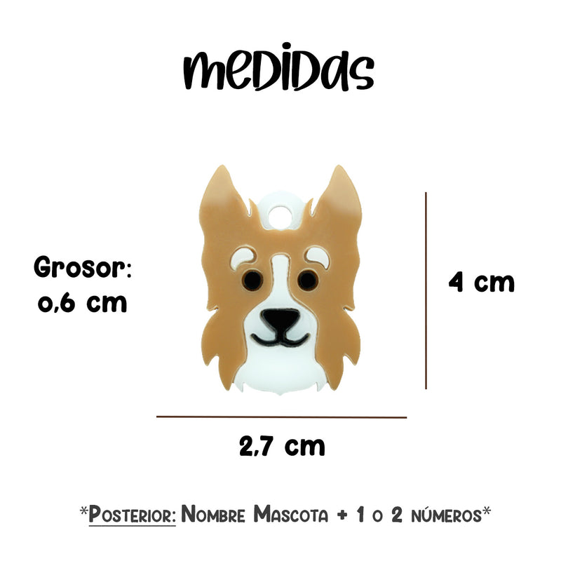placa_identificación_para_mascotas_border_collie