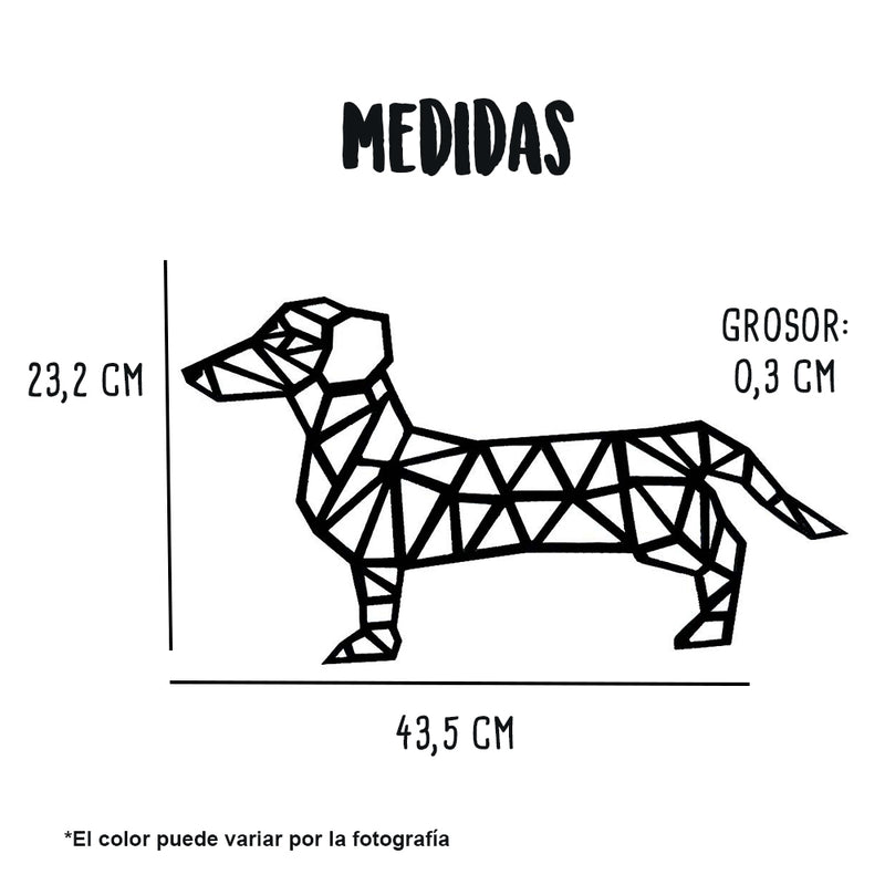 Cuadro de Perro - Salchicha - Just For Pets